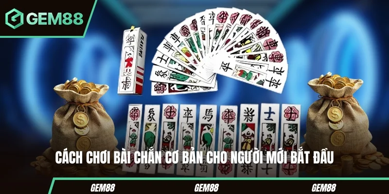 Cách Chơi Bài Chắn – Hướng Dẫn Chi Tiết Dành Cho Tân Binh Cách chơi bài chắn dễ hiểu cho newbie