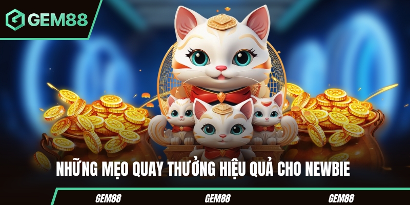 Những mẹo quay thưởng hiệu quả cho newbie