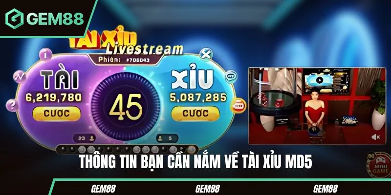 Thông tin bạn cần nắm về tài xỉu MD5